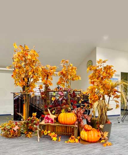 display-image