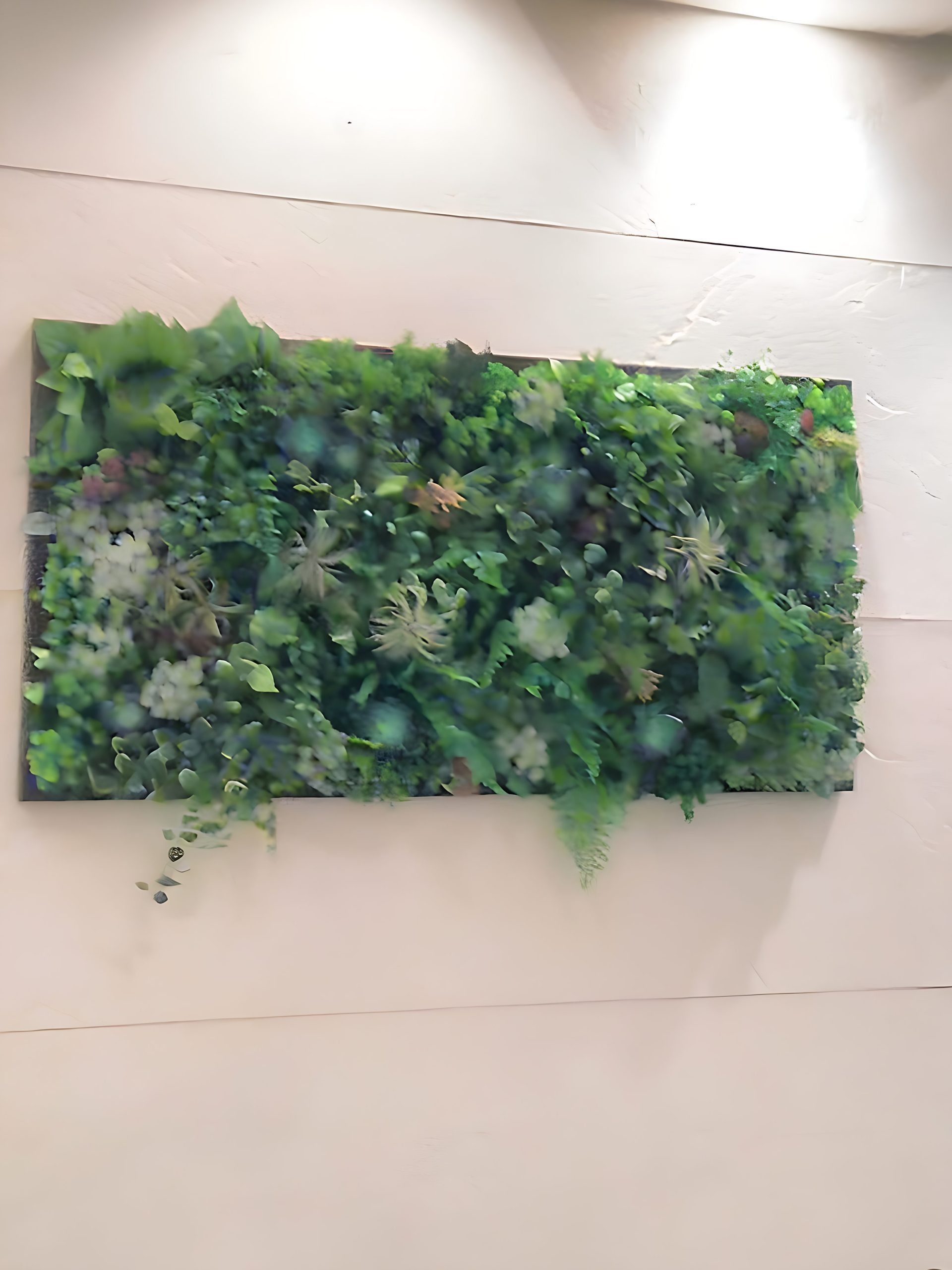 display-gallary-img