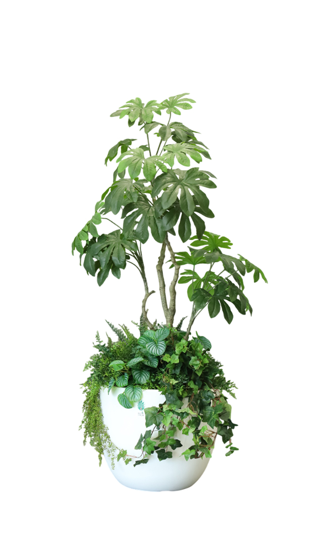 display-gallary-img
